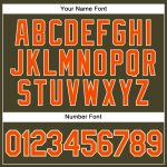 Personalized Olive City Cream Pinstripe Orange Authentic Salute To Service Baseball Jersey Team Custom Name and Number