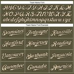 Personalized Olive Cream-Black Authentic Salute To Service Baseball Jersey Team Custom Name and Number