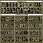 Personalized Olive Cream-Black Mesh Authentic Salute To Service Football Jersey Team Custom Name and Number