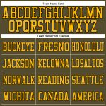Personalized Olive Gold-Black Mesh Authentic Salute To Service Football Jersey Team Custom Name and Number