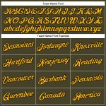 Personalized Olive Gold-Black Performance Salute To Service T-Shirt Team Custom Name and Number