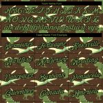 Personalized Olive Neon Green-Black 3D Pattern Design Dinosaur Performance T-Shirt Team Custom Name and Number