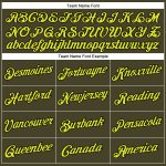 Personalized Olive Neon Yellow-Black Performance Salute To Service T-Shirt Team Custom Name and Number