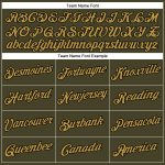 Personalized Olive Old Gold-Black Performance Salute To Service T-Shirt Team Custom Name and Number