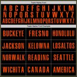 Personalized Olive Orange-Black Authentic Salute To Service Baseball Jersey