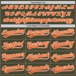 Personalized Olive Orange-White Authentic Throwback Salute To Service Baseball Jersey Team Custom Name and Number