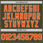Personalized Olive Orange-White Line Authentic Salute To Service Baseball Jersey Team Custom Name and Number