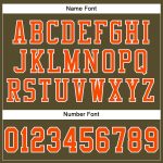 Personalized Olive Orange-White Mesh Authentic Salute To Service Football Jersey Team Custom Name and Number