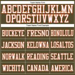 Personalized Olive Orange-White Mesh Authentic Salute To Service Football Jersey Team Custom Name and Number