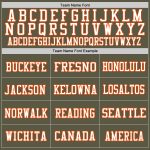 Personalized Olive Orange-White Mesh Authentic Throwback Salute To Service Football Jersey Team Custom Name and Number