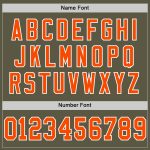 Personalized Olive Orange-White Mesh Authentic Throwback Salute To Service Football Jersey Team Custom Name and Number