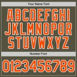 Personalized Olive Orange-White Performance Salute To Service T-Shirt Team Custom Name and Number