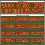 Personalized Olive Red-Gold Long Sleeve Performance Salute To Service T-Shirt Team Custom Name and Number