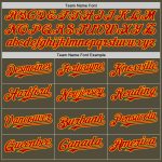 Personalized Olive Red-Gold Mesh Authentic Throwback Salute To Service Baseball Jersey Team Custom Name and Number