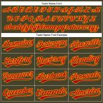 Personalized Olive Red-Gold Performance Vapor Salute To Service Golf Polo Shirt Team Custom Name and Number