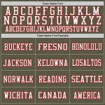 Personalized Olive Red-White Mesh Authentic Throwback Salute To Service Football Jersey Team Custom Name and Number