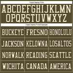 Personalized Olive Vintage USA Flag Cream-Black Mesh Authentic Salute To Service Football Jersey Team Custom Name and Number