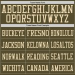 Personalized Olive Vintage USA Flag-Cream Mesh Authentic Salute To Service Football Jersey Team Custom Name and Number