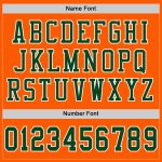 Personalized Orange Green-White Mesh Authentic Football Jersey Team Custom Name and Number