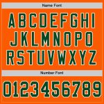 Personalized Orange Green-White Mesh Authentic Throwback Football Jersey Team Custom Name and Number