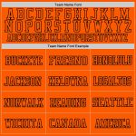 Personalized Orange Orange-Black Mesh Authentic Throwback Football Jersey Team Custom Name and Number