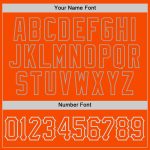Personalized Orange Orange-Gray Authentic Baseball Jersey Team Custom Name and Number