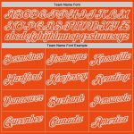 Personalized Orange Orange-Gray Performance T-Shirt Team Custom Name and Number