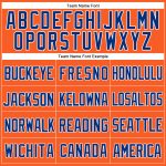 Personalized Orange Royal-White Mesh Authentic Throwback Baseball Jersey