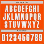 Personalized Orange White-Gray Authentic Baseball Jersey