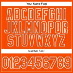 Personalized Orange White-Gray Performance Vapor Golf Polo Shirt Team Custom Name and Number