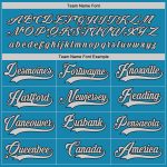 Personalized Panther Blue Gray-Black Hockey Jersey Team Custom Name and Number