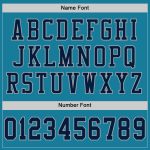 Personalized Panther Blue Navy-Gray Mesh Authentic Football Jersey Team Custom Name and Number