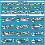 Personalized Panther Blue White-Black Authentic Baseball Jersey Team Custom Name and Number