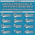 Personalized Panther Blue White-Black Hockey Jersey Team Custom Name and Number