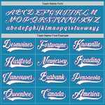 Personalized Panther Blue White-Purple Hockey Jersey Team Custom Name and Number