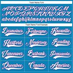 Personalized Panther Blue White-Purple Hockey Lace Neck Jersey Team Custom Name and Number