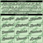 Personalized Pea Green Black 3D Pattern Design Dinosaur Performance T-Shirt Team Custom Name and Number