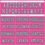 Personalized Pink White-Light Blue Performance T-Shirt Team Custom Name and Number