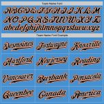 Personalized Powder Blue Black Pinstripe Black-Orange Authentic Baseball Jersey Team Custom Name and Number