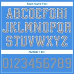 Personalized Powder Blue Gray-White Stitched Adjustable Snapback Hat Team Custom Name and Number