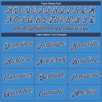 Personalized Powder Blue Navy-White Performance T-Shirt Team Custom Name and Number