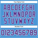 Personalized Powder Blue Purple-White Performance T-Shirt Team Custom Name and Number