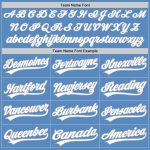 Personalized Powder Blue White-Gray Two-Button Unisex Softball Jersey Team Custom Name and Number