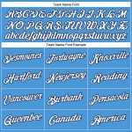 Personalized Powder Blue White-Navy Performance T-Shirt Team Custom Name and Number