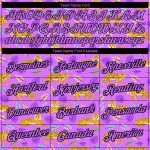 Personalized Purple Black 3D Pattern Design Tiger Performance T-Shirt Team Custom Name and Number
