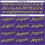 Personalized Purple Black-City Cream Authentic Baseball Jersey Team Custom Name and Number