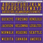 Personalized Purple Black-Gold Mesh Authentic Throwback Football Jersey Team Custom Name and Number