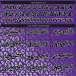 Personalized Purple Black-Gray 3D Pattern Design Leopard Print Fade Fashion Authentic Baseball Jersey Team Custom Name and Number