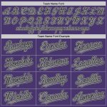Personalized Purple Black-Gray Authentic Baseball Jersey