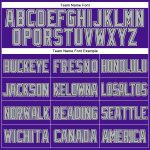 Personalized Purple Black-Gray Mesh Authentic Throwback Baseball Jersey